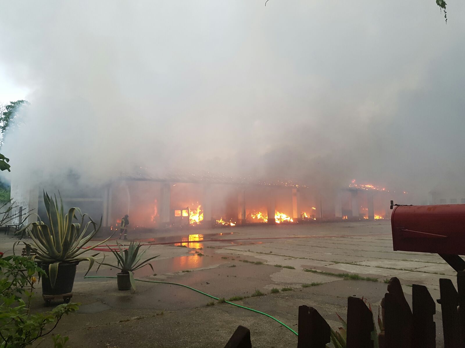 WhatsApp-Image-20160612 (1)