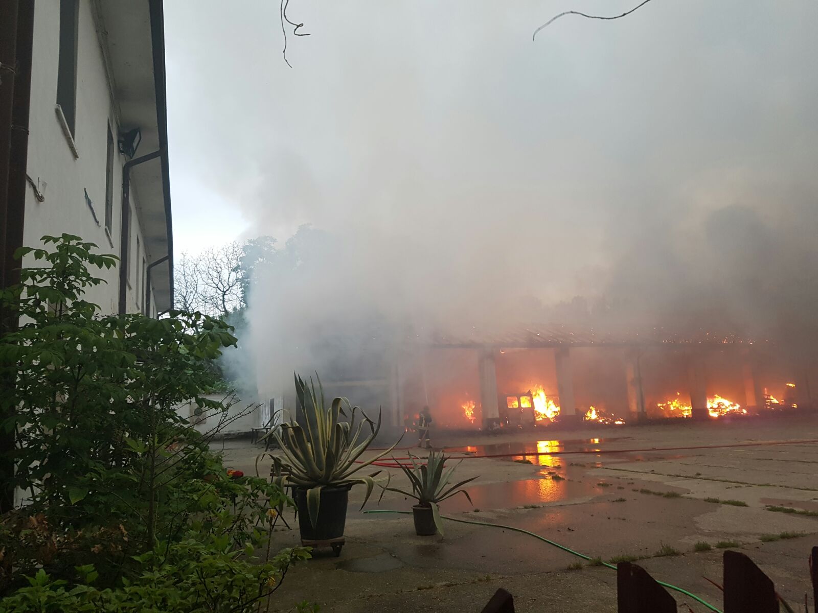 WhatsApp-Image-20160612 (2)